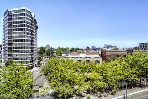 A tall building with many windows is surrounded by trees.