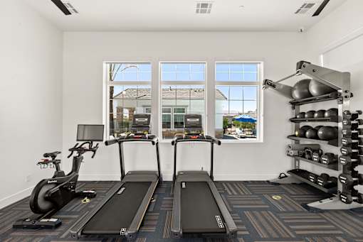 two treadmills and weights in a gym with windows and a wall of weights at Zora Encanto, Arizona 85035