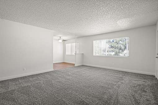 A room with a carpeted floor and a window with blinds.