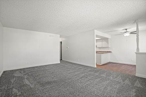 A room with a grey carpet and white walls.