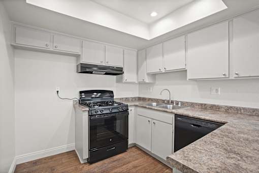 A kitchen with a stove top oven and a dishwasher.