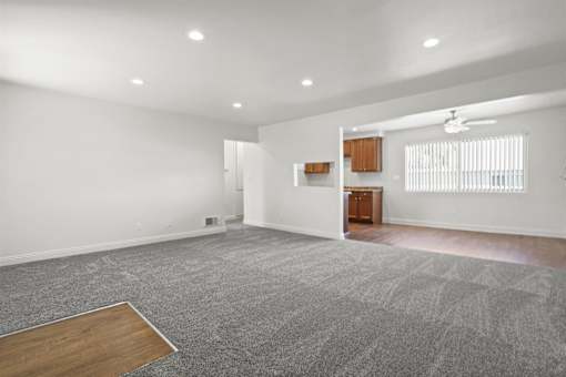 A spacious room with a grey carpet and a wooden floor.