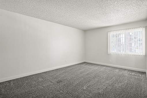 A room with a carpeted floor and a window with blinds.