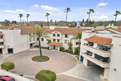 A courtyard with a palm tree and a red circle in the middle.