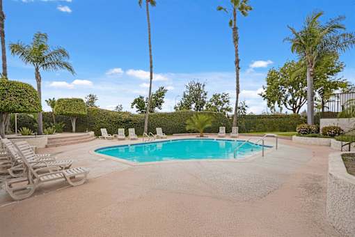 A pool surrounded by palm trees and lounge chairs.