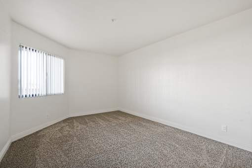 A room with a carpeted floor and a window with blinds.
