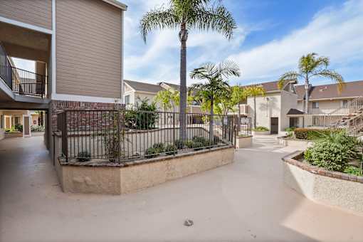 A palm tree stands in the middle of a courtyard surrounded by apartment buildings.