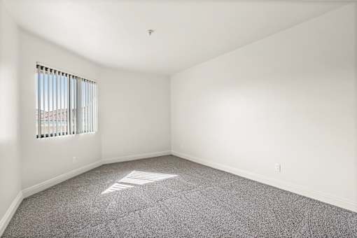 A room with a window and a carpeted floor.