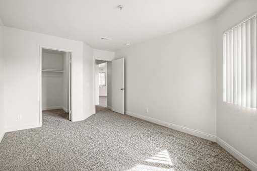 A room with white walls and carpeted floor with sunlight coming through a window.