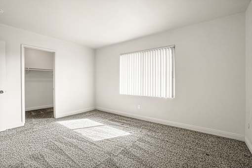 A room with a carpet, a window with blinds, and a door.