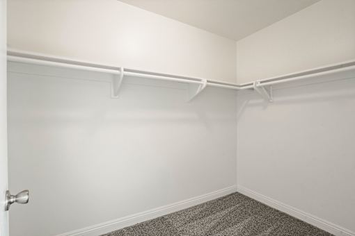 A white closet with a carpeted floor and a door.