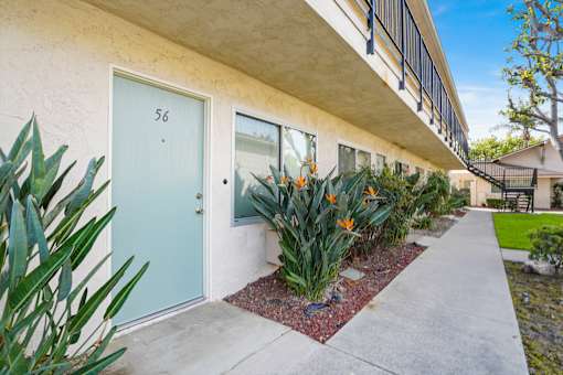 A blue door with the number 56 on it is on the left side of a building.