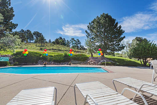 A pool surrounded by trees and sunshine.