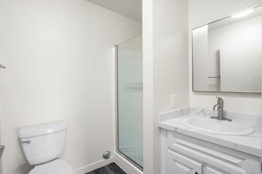 A white toilet sits next to a sink in a bathroom.