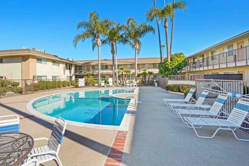 A pool surrounded by chairs and palm trees.