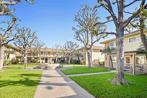 A tree-lined walkway leads to a building entrance.