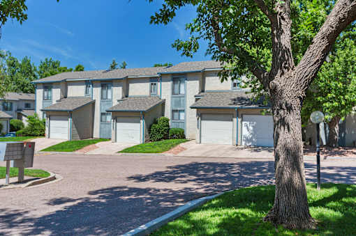 A tree stands in front of apartment buildings.