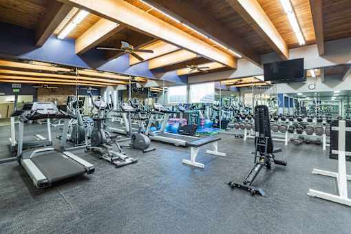 A spacious gym with a variety of equipment including treadmills, weights, and exercise machines.