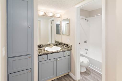 A bathroom with a sink, mirror, and toilet.