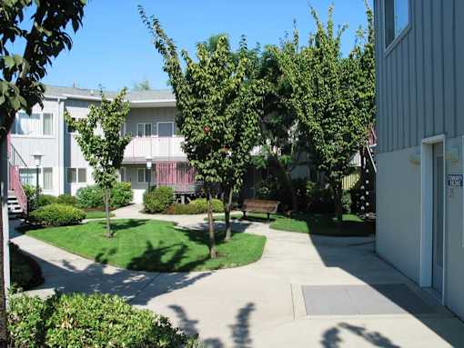 A sunny day at a residential area with a clear blue sky.