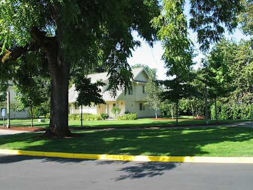 A tree in front of a house.