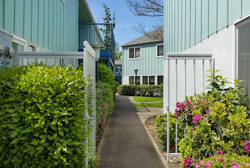 A pathway leads to a white building with a blue building in the background.