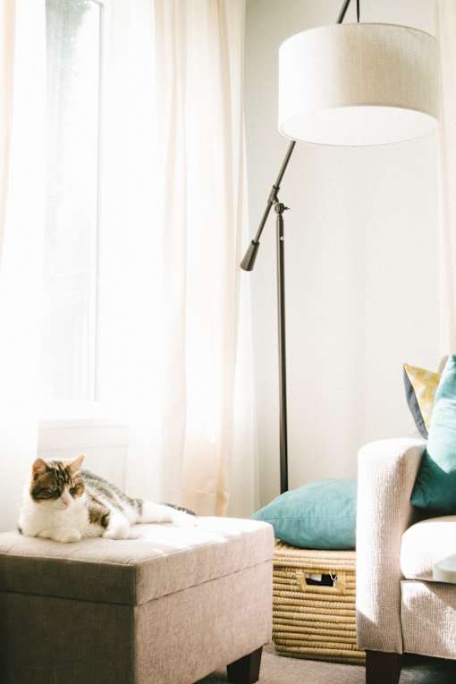 a cat sitting on an ottoman in a living room