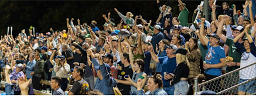 A crowd of people at a sporting event with their hands raised.