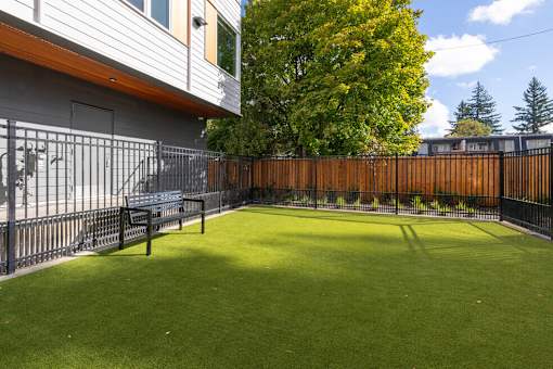A backyard with a green lawn and a wooden fence.
