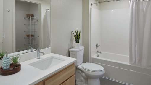 A white toilet sits next to a sink in a bathroom.