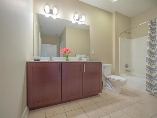 Bathroom With Vanity Lights at New Britain, Pennsylvania