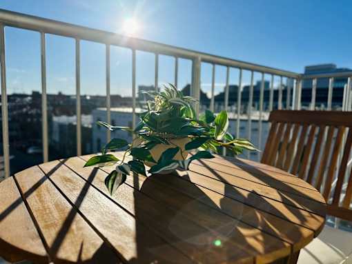 A wooden table with a plant on it sits on a balcony with a view of the city.