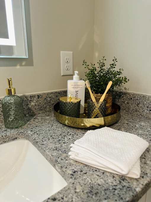 A bathroom counter with a white towel, a bottle of lotion, and a small potted plant.