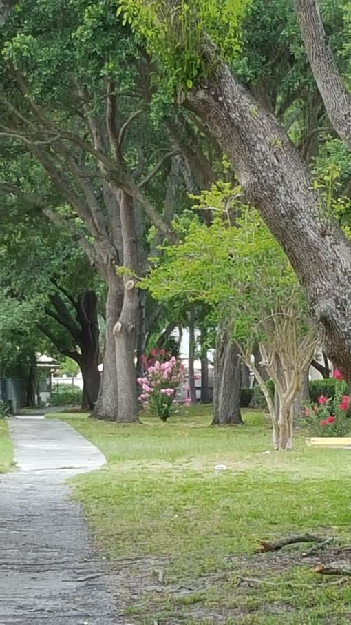 Walking Trail