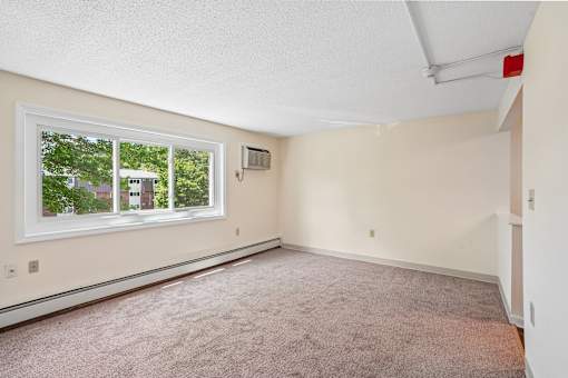 A room with a window and a carpeted floor.