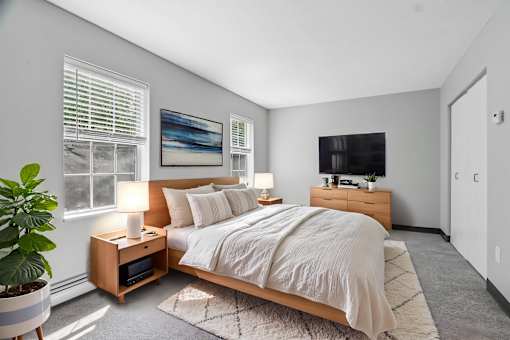 A bedroom with a large bed, a nightstand with a lamp, and a potted plant.