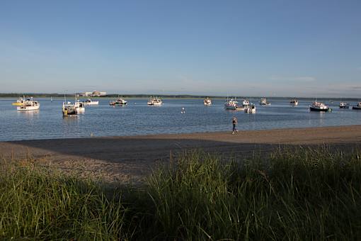 A person is walking on the beach near the water.