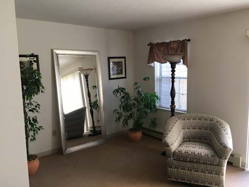 A room with a chair, a potted plant, a mirror, and a lamp.