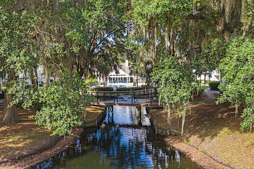A house is surrounded by trees with Spanish moss hanging from the branches.