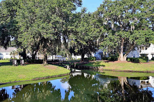 A pond in a park with a tree with hanging moss.