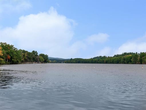 a body of water with trees on the other side of it