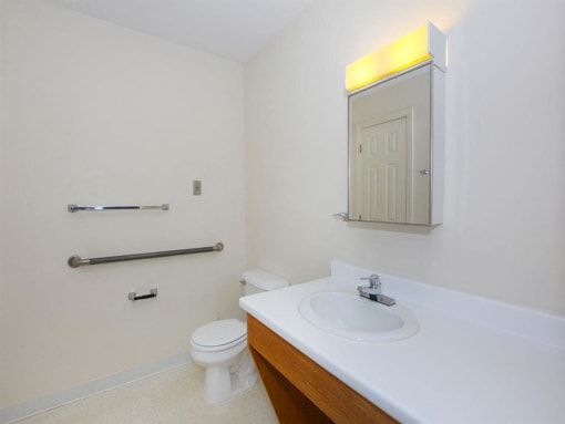 a bathroom with a sink and a toilet and a mirror