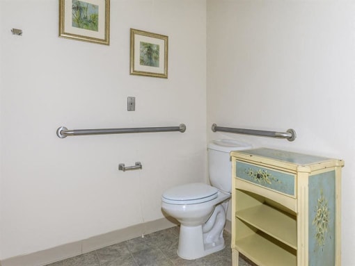 a bathroom with a toilet and a cabinet