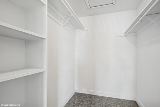 A white room with shelves and a carpeted floor.