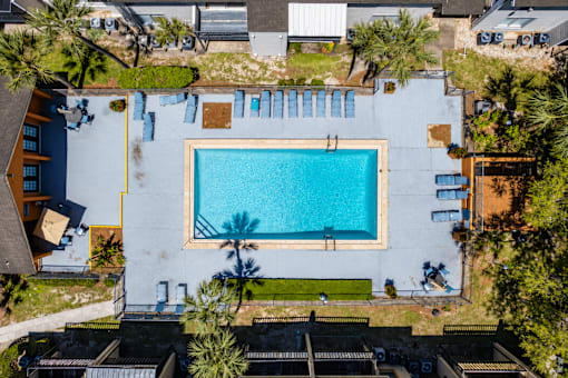 A swimming pool surrounded by palm trees and lounge chairs.