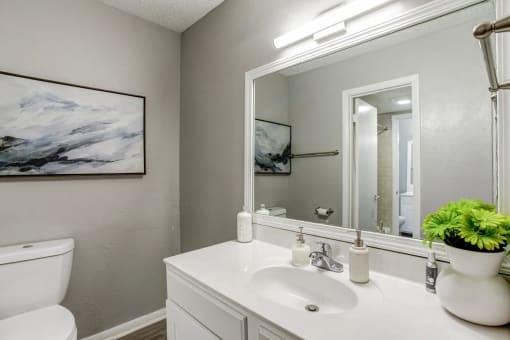 a bathroom with a mirror and a sink and a toilet