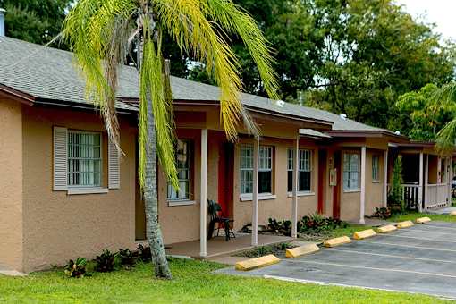 A building with a palm tree in front of it.
