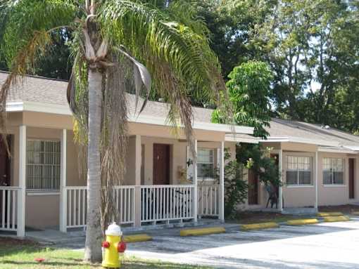 A yellow fire hydrant is in front of a palm tree and a building.