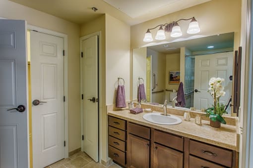 Assisted Living bathroom