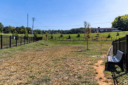 A park with a bench and a fence.